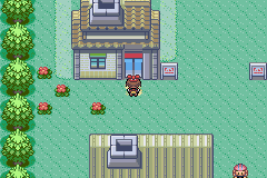 Pokemon Dream Screenshot 1